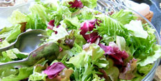 グリーンサラダ